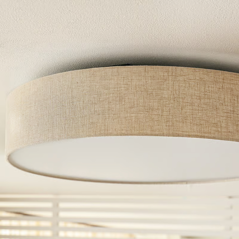 ceiling light19.jpg