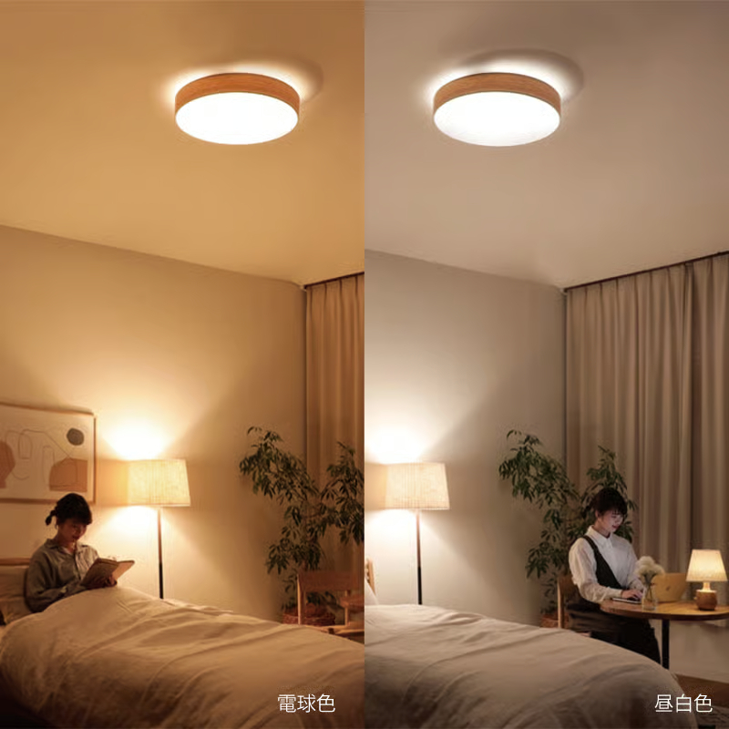 ceiling light9.jpg