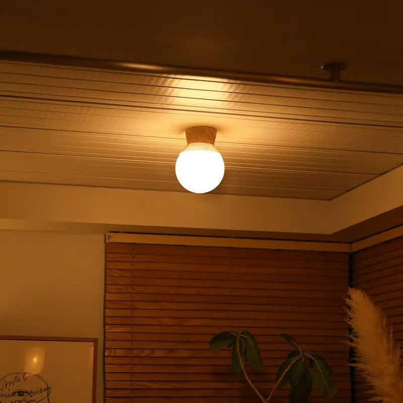 ceiling light1.jpg