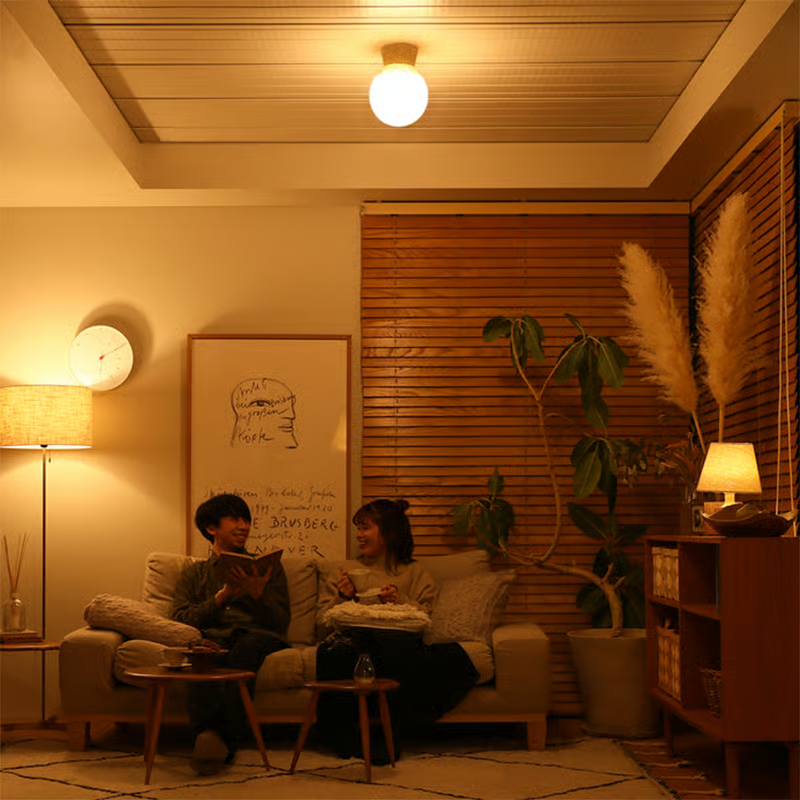 ceiling light7.jpg
