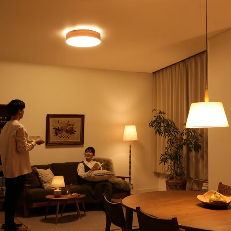 ceiling light10.jpg