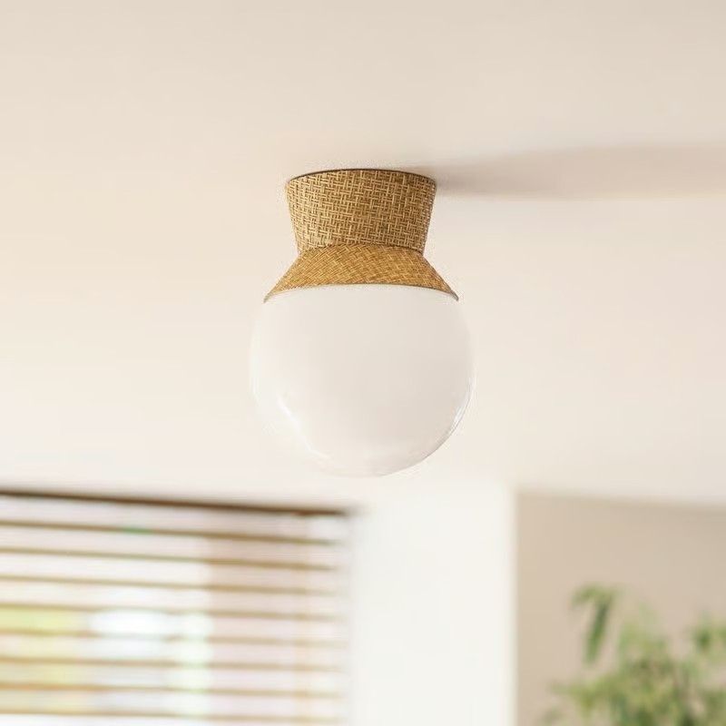 ceiling light.jpg