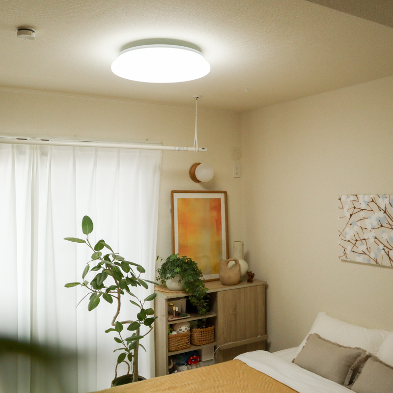 ceiling light (5).jpg