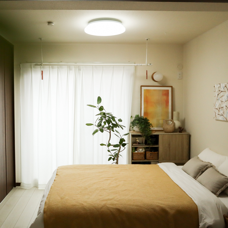 ceiling light (8).jpg