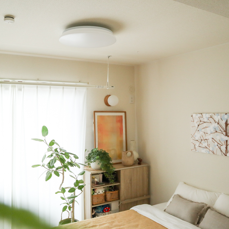 ceiling light (6).jpg
