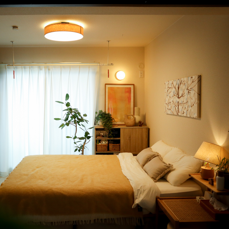 ceiling light (4).jpg