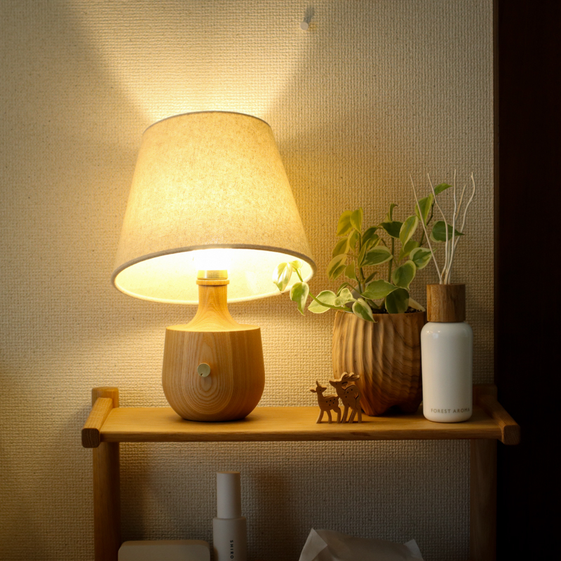 ceiling light (3).jpg