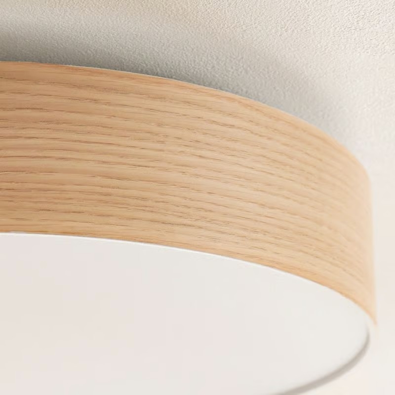 ceiling light_2.jpg