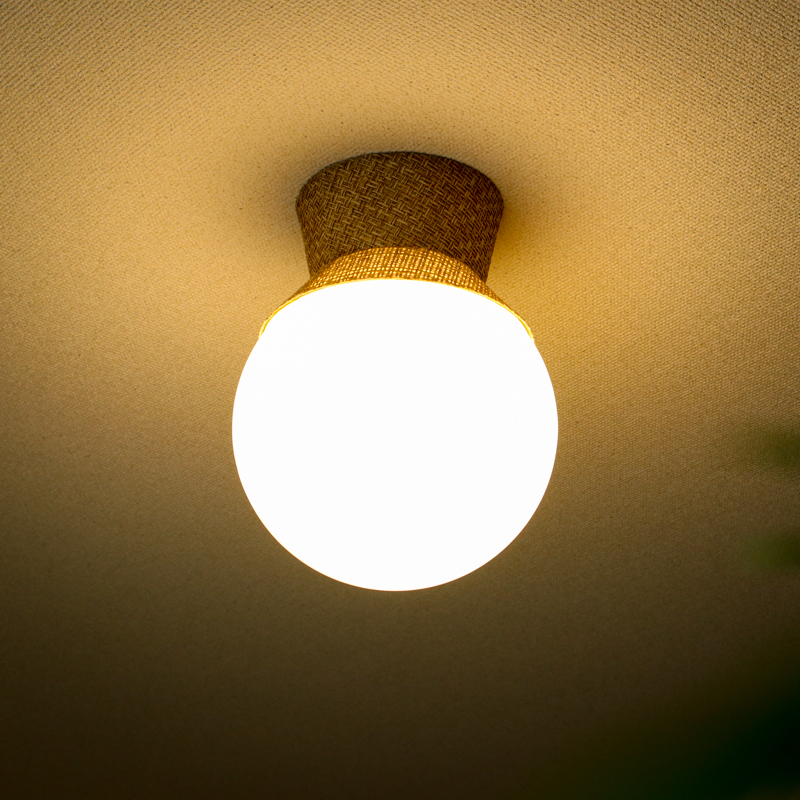 ceiling light (15).jpg