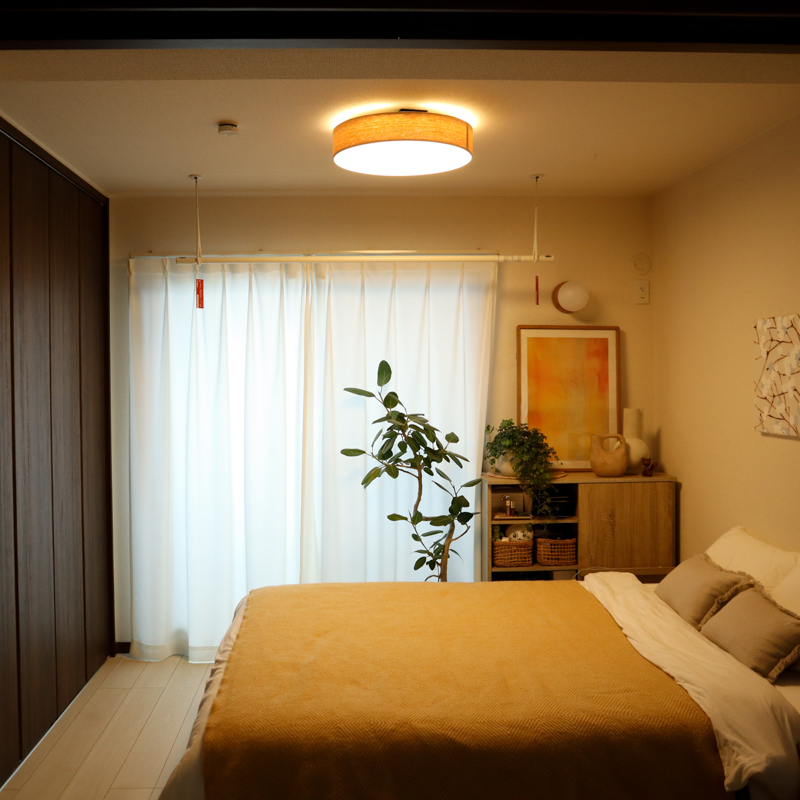 ceiling light (12).jpg