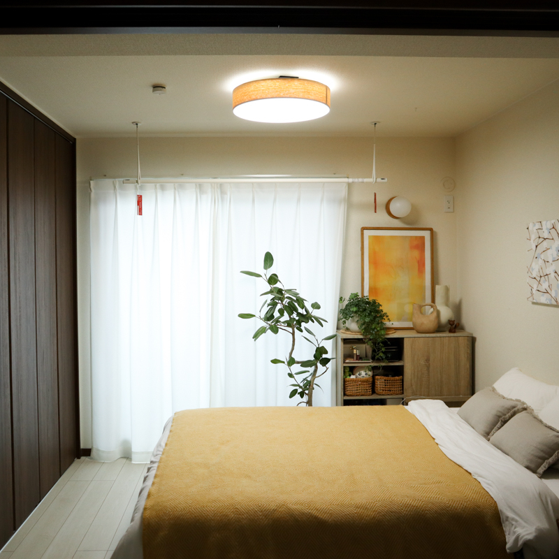 ceiling light (17).jpg