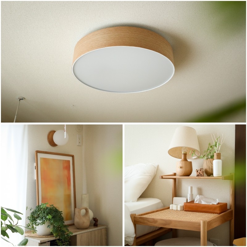 ceiling light_3.jpg