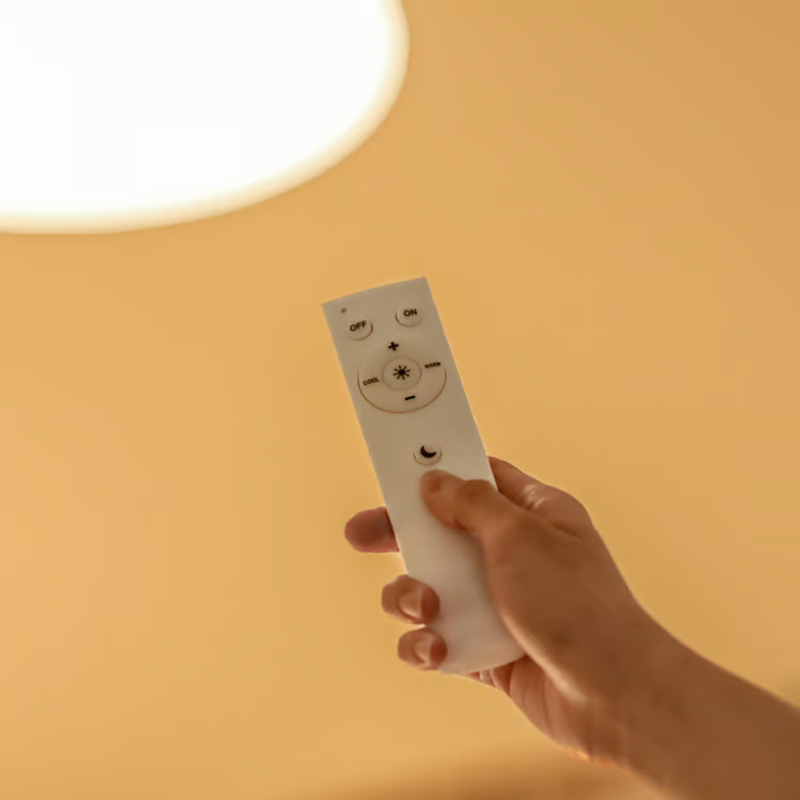ceiling light18.jpg