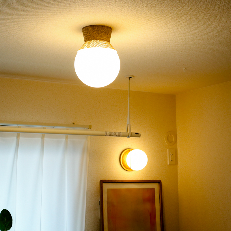 ceiling light (21).jpg