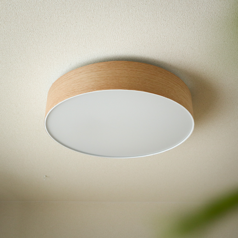 ceiling light (22).jpg