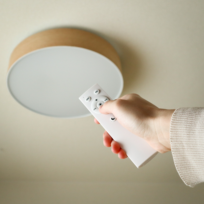 ceiling light (25).jpg