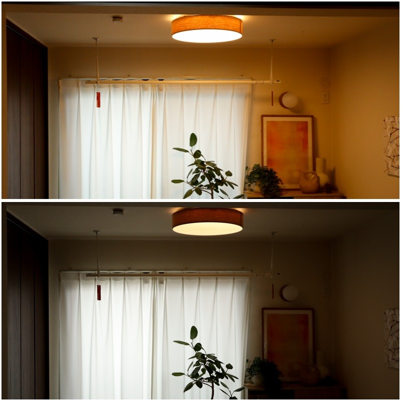 ceiling light_12.jpg