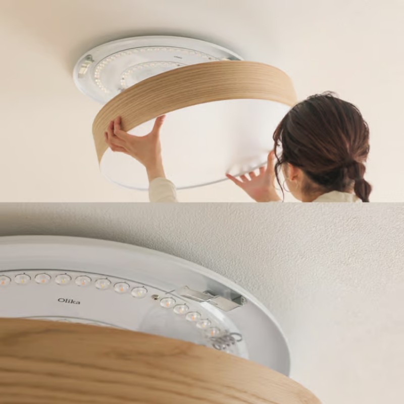 ceiling light_13.jpg