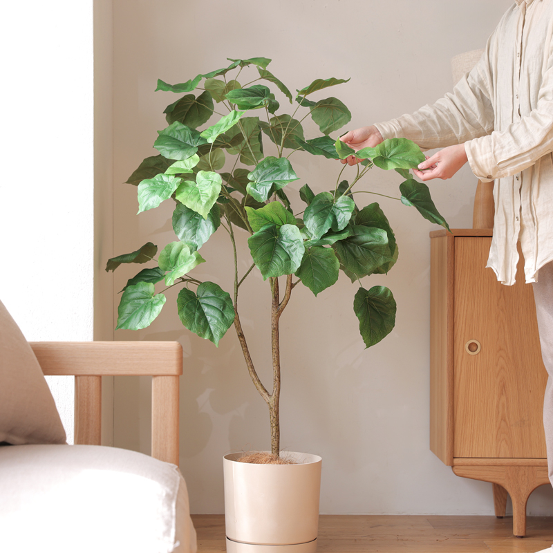 umbellata_pruning (20).jpg