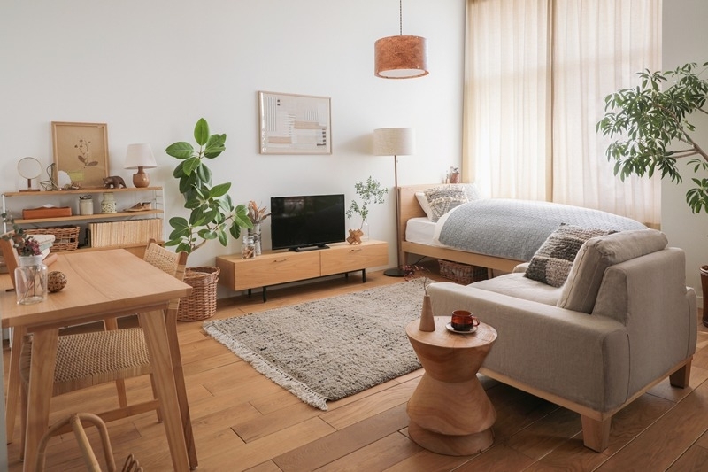 solo_living_dining_layout_01