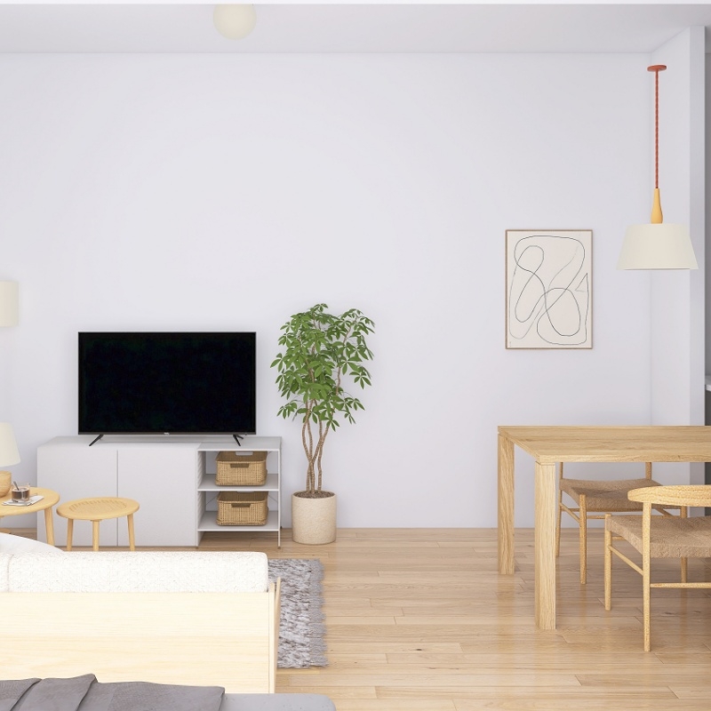 solo_living_dining_layout_22