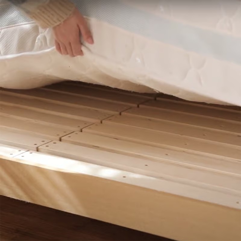 bed_lifespan (17).jpg