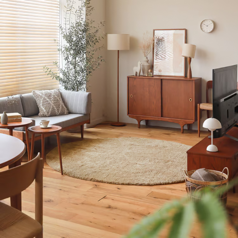 circle_rug (1).jpg