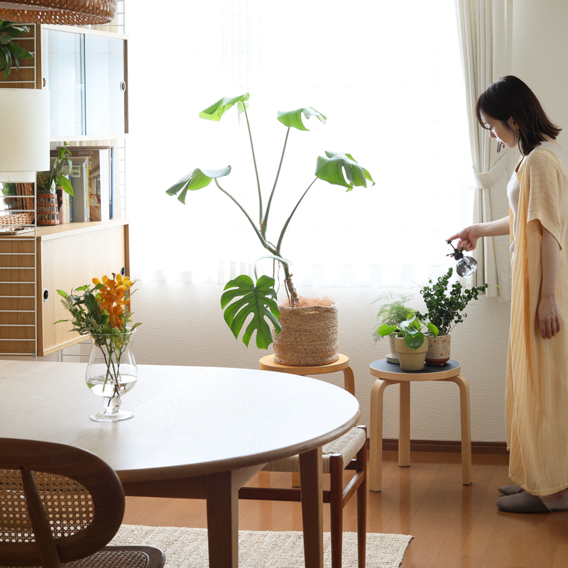 植物に葉水.jpg