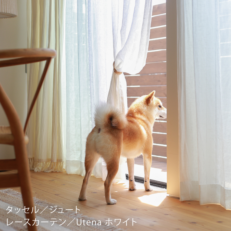 ★17-3_人にもペットにも心地いい（ヘンプ）_タッセルTiel_中原さんマガジン_2026_07_15_0041-100.jpg