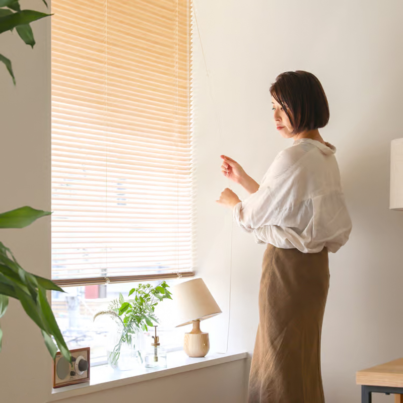 roller_shade_vs_blind (38).jpg