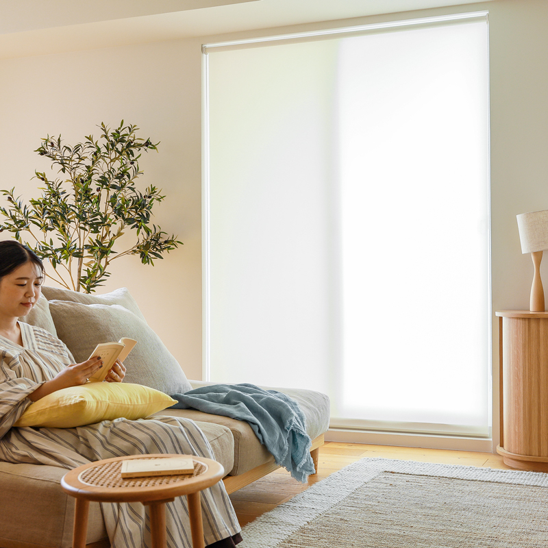 roller_shade_vs_blind (3).jpg