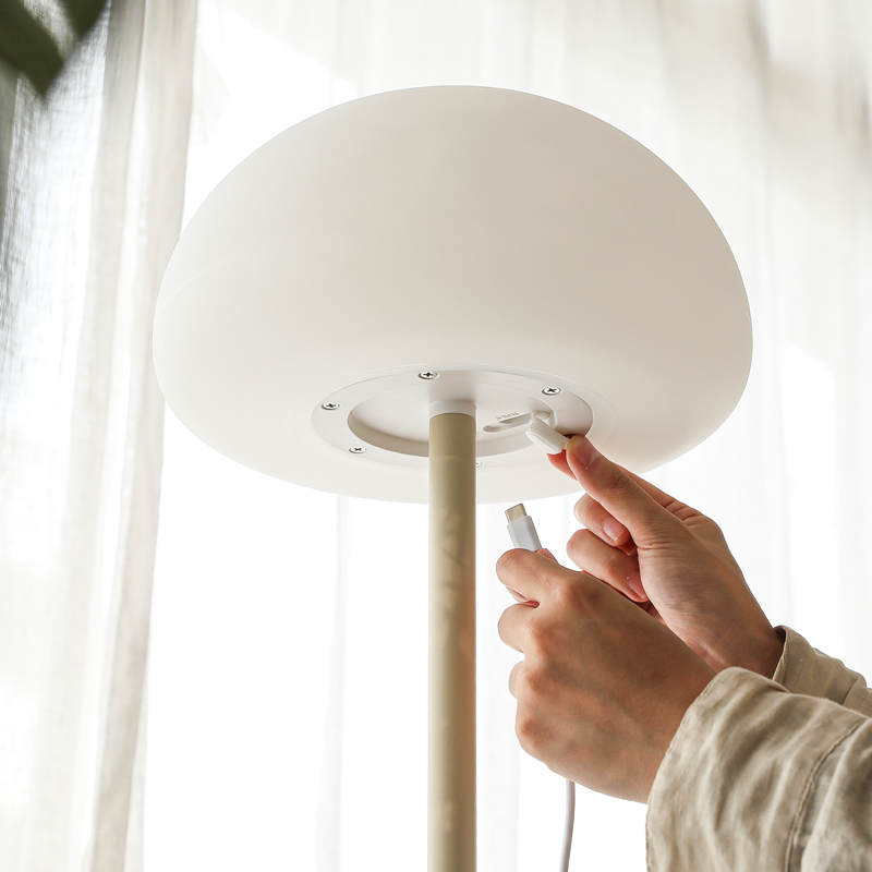 stylish_portable_lighting_ (4).jpg