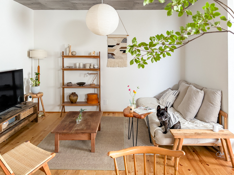 agra_sofa_review (10).jpg