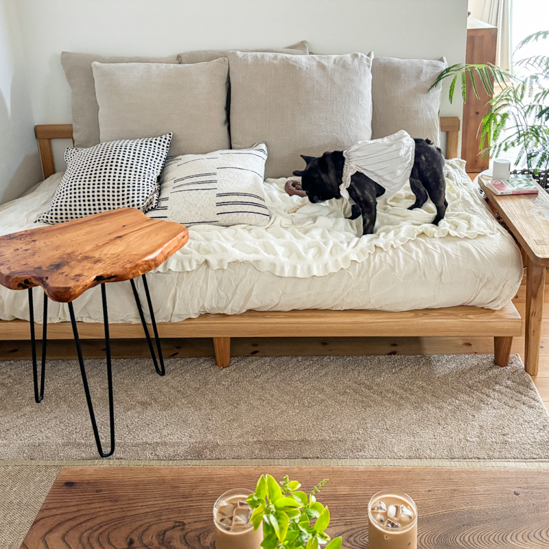 agra_sofa_review (4).jpg