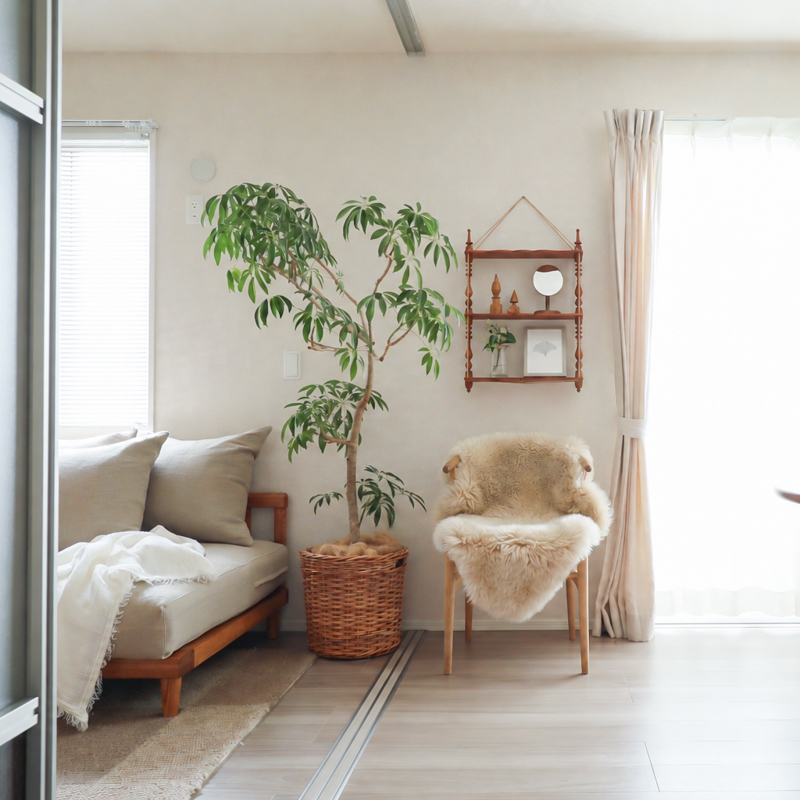 beforeafter_02 (19).jpg