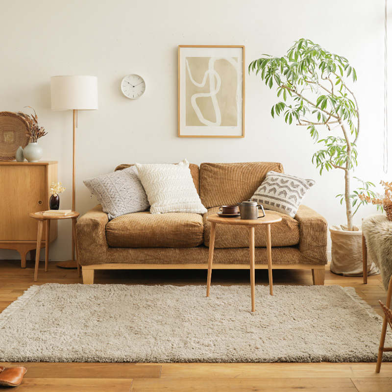 rug_color_spacious_03