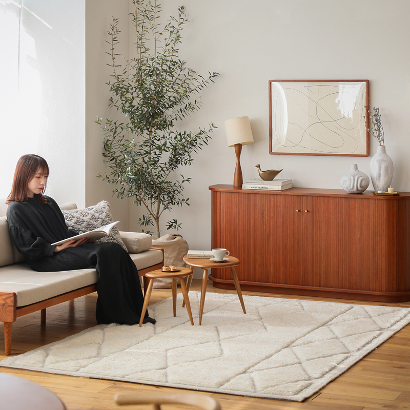 rug_color_spacious_09
