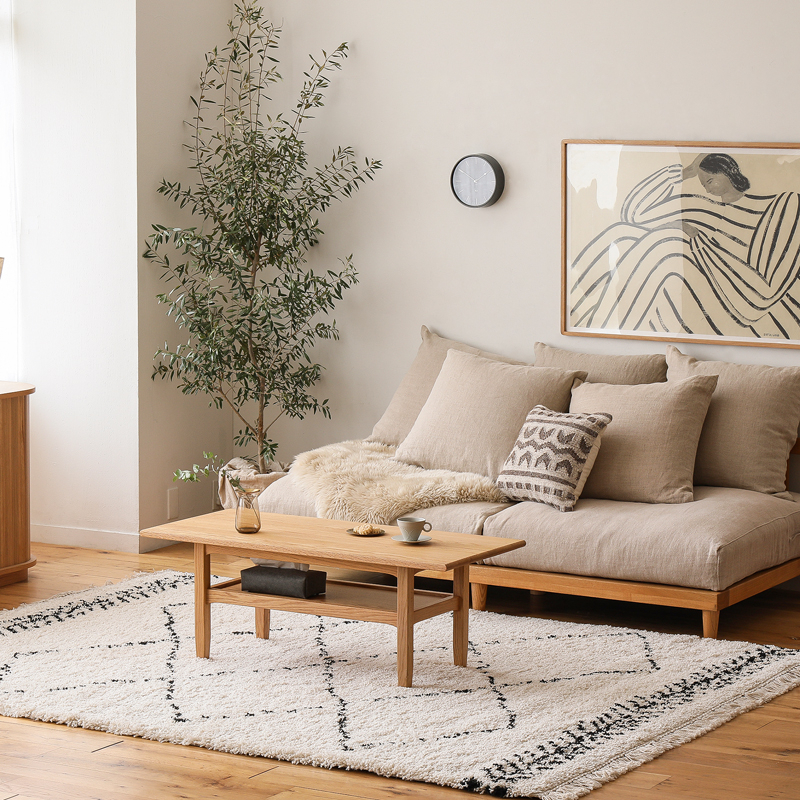 rug_color_spacious_24