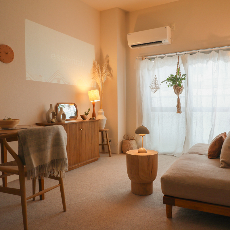 rug_color_spacious_23