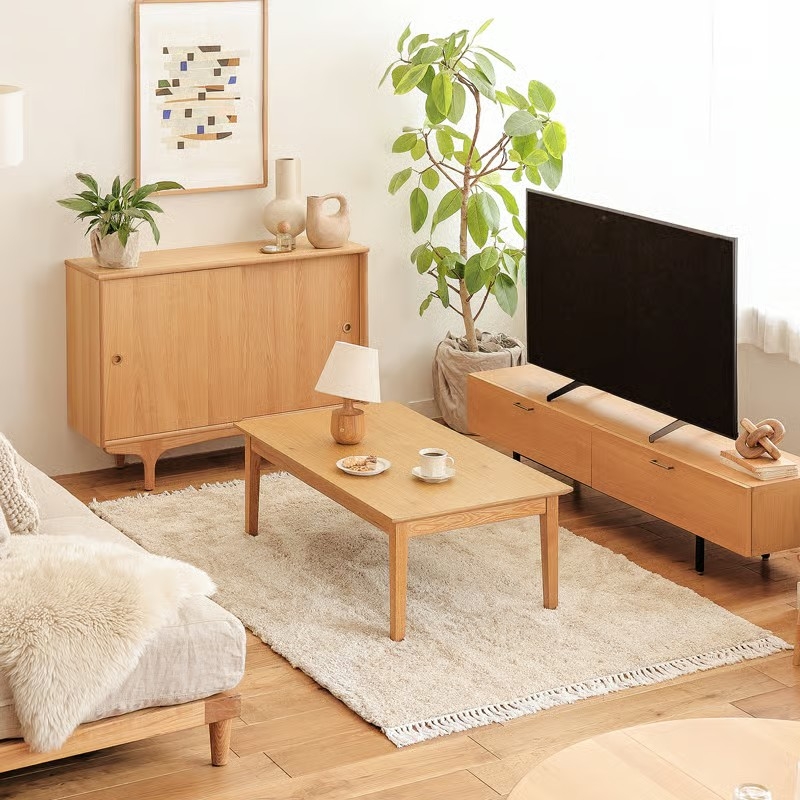rug_color_spacious_31