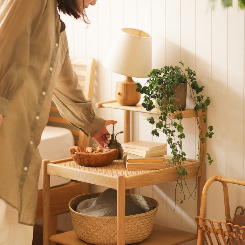 棚の上に飾られた小さい観葉植物.jpg