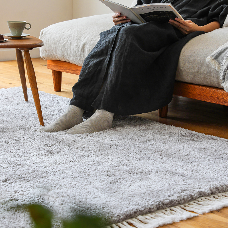 Roomba_rug_24