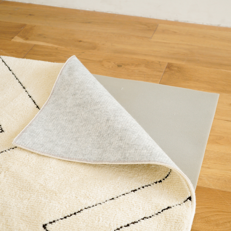Roomba_rug_11