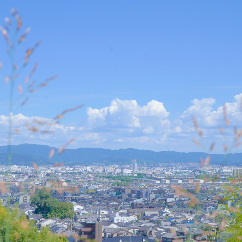 DSC03654.jpg