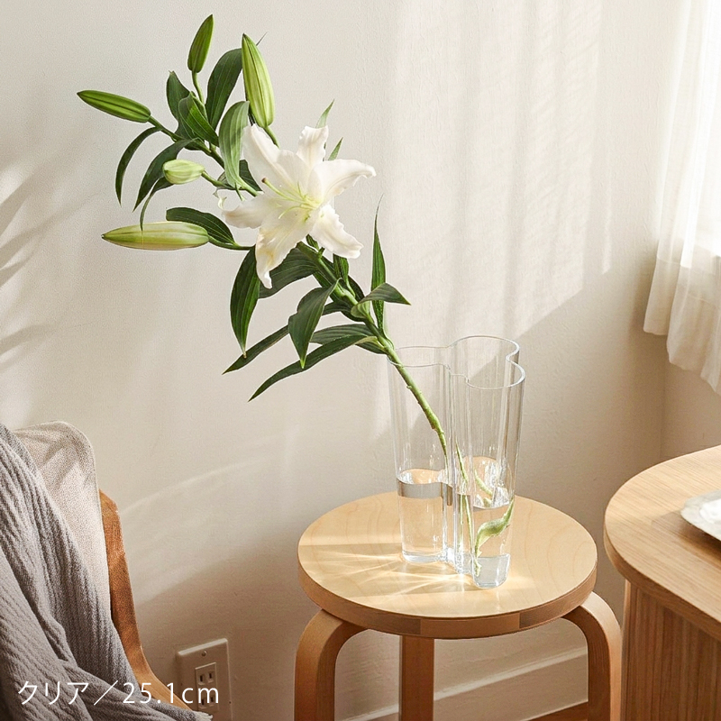 aalto-fv-blog33.jpg