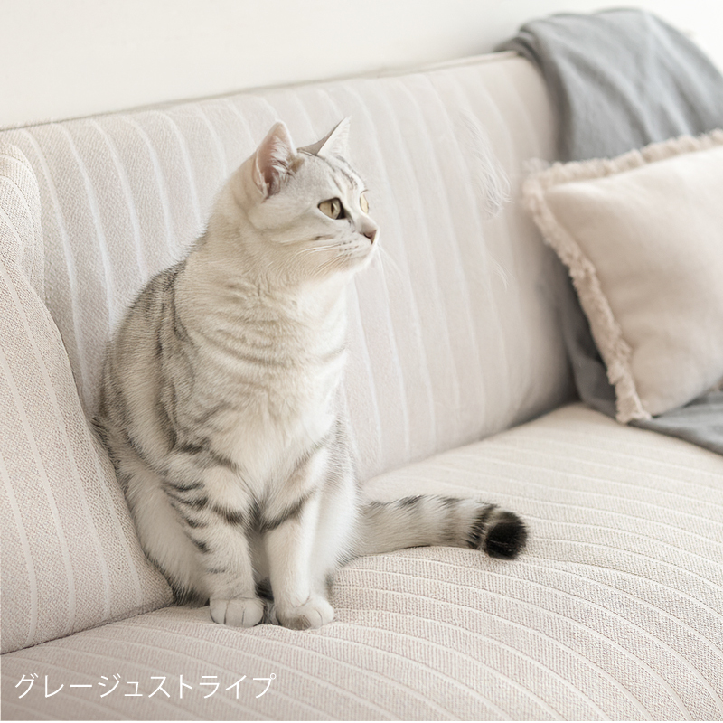 along1-blog29.jpg