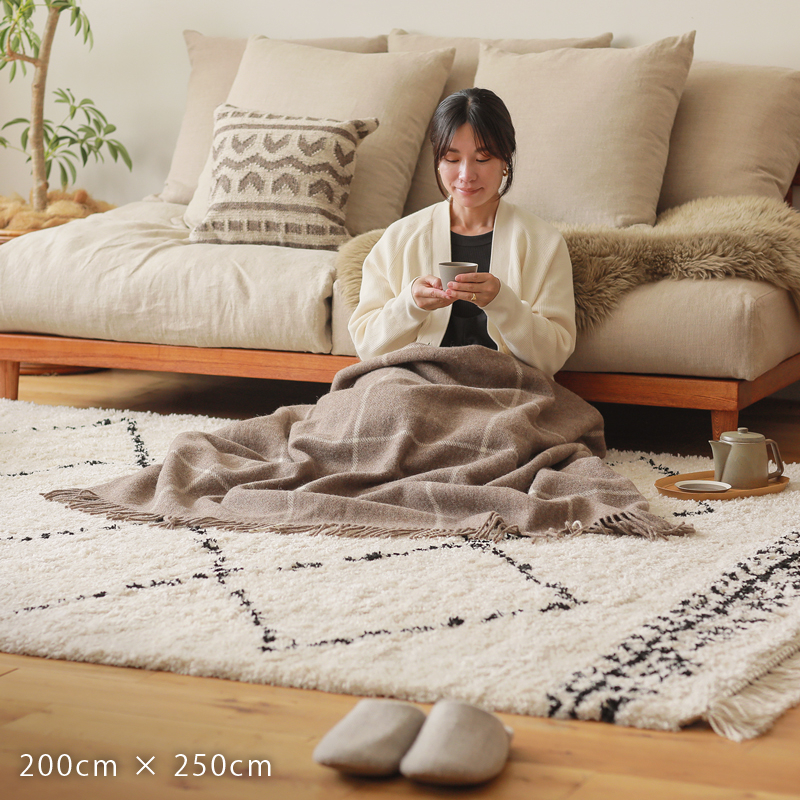 biancaboho-rug-blog5.jpg
