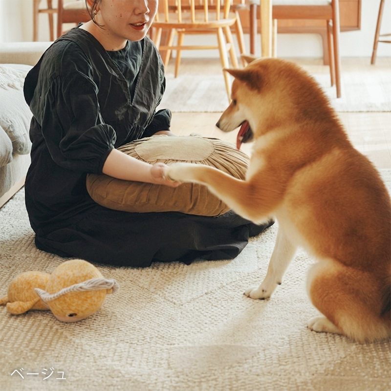bright-rug-blog18.jpg