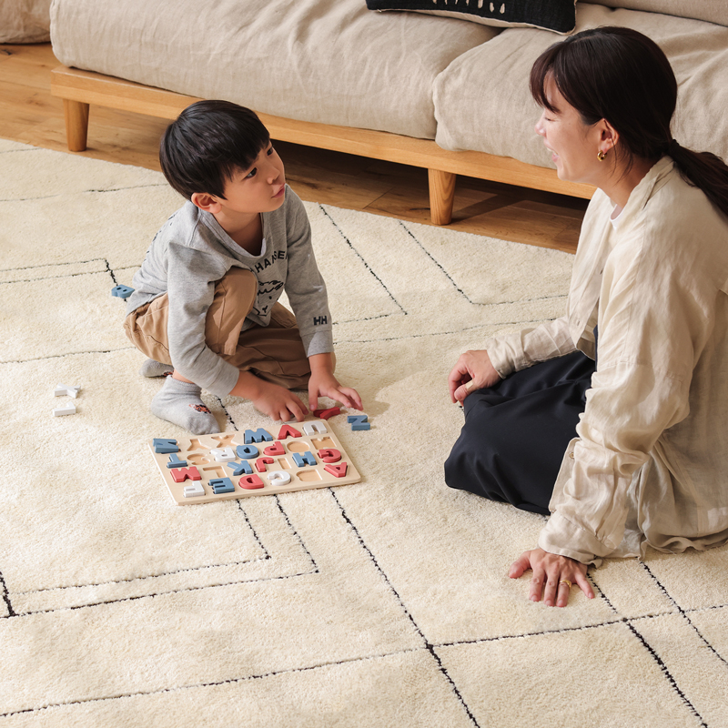 Roomba_rug_08