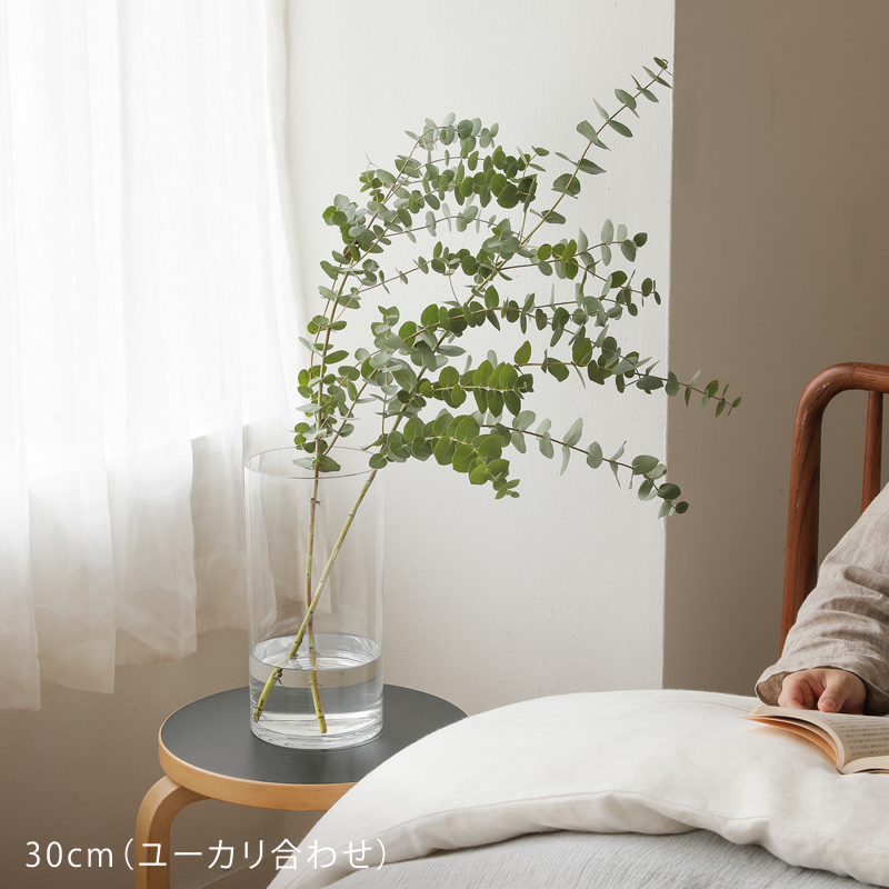 cylin-fb-blog23.jpg